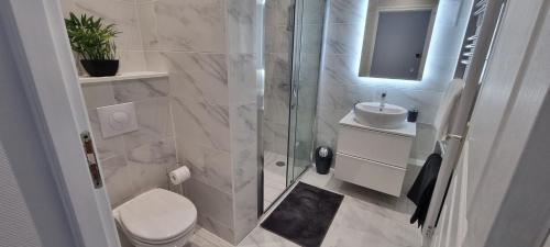 une salle de bain avec une douche avec des toilettes et un lavabo dans l'établissement Appartement RGB, à Rouen