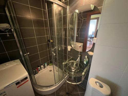 a bathroom with a shower with a sink and a toilet at Regnum Bansko in Bansko