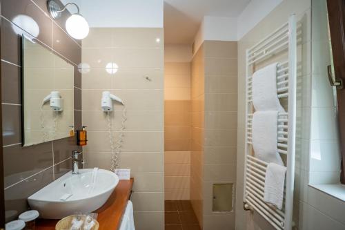 a bathroom with a sink and a mirror at Opus Villa in Sinaia