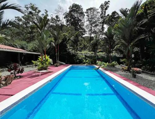 Villa Mama Papa 40ft pool between Puerto Viejo and Cahuita