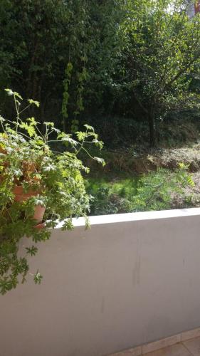 Guesthouse Nora - Image 4