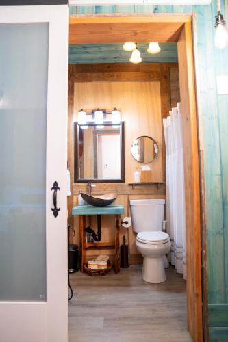 a bathroom with a toilet and a sink and a mirror at Homer Inn & Spa in Homer