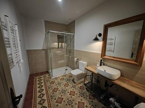 een badkamer met een douche, een toilet en een wastafel bij Teralba 1 Casa Rural in La Calzada de Oropesa