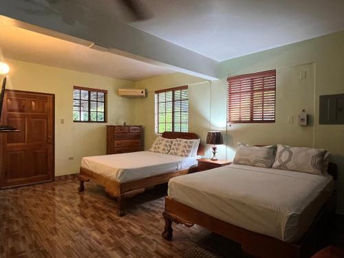 a bedroom with two beds and two windows at Castlevue B&B in Montego Bay