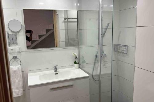 uma casa de banho com um lavatório e um chuveiro com um espelho. em Apartamento Murcia San José A em Múrcia