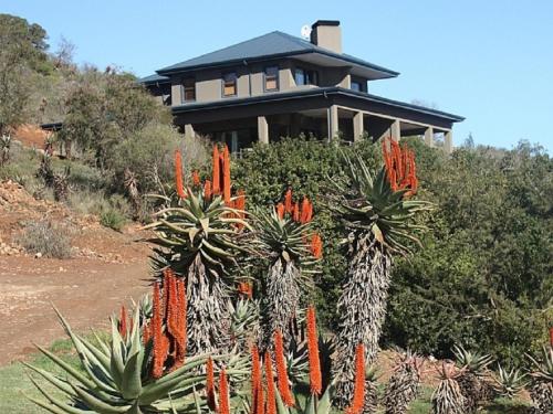 una casa en una colina con un montón de zanahorias en Stonehill River Lodge by Dream Resorts en Buffeljagsrivier