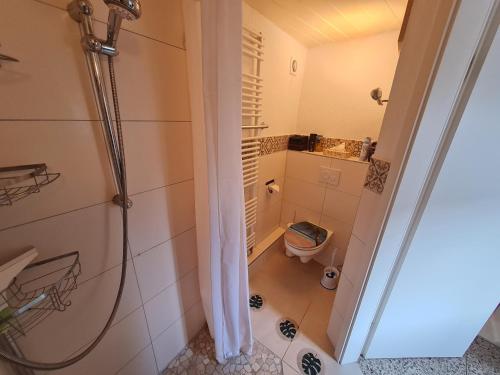 a bathroom with a shower and a toilet at Ferienwohnung im Wispertaunus in Dickschied