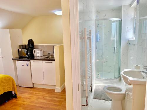a bathroom with a shower and a toilet and a sink at London Studio Apartments Close to Station NP7 in London