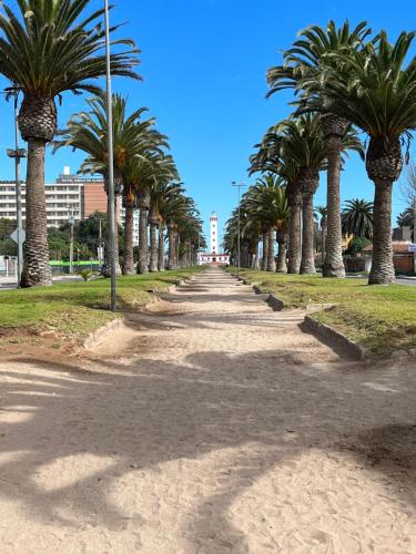 a row of palm trees on a street at HOSTAL 469 in La Serena