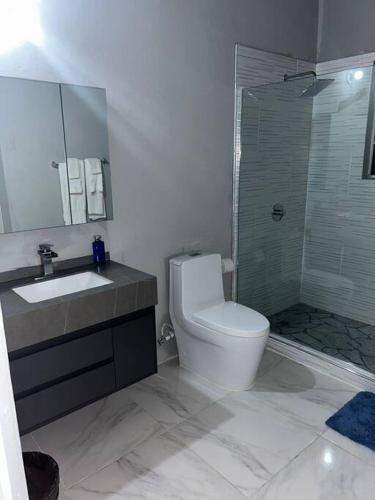 a bathroom with a toilet and a sink and a shower at Oak Villa Montego Bay2 King Room in Montego Bay