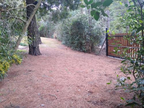 una puerta en un campo de tierra con una valla en Le volquet Mar de las Pampas en Mar de las Pampas