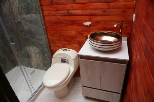 a bathroom with a toilet and a bowl on a counter at NaturaLove Glamping Mongui in Monguí