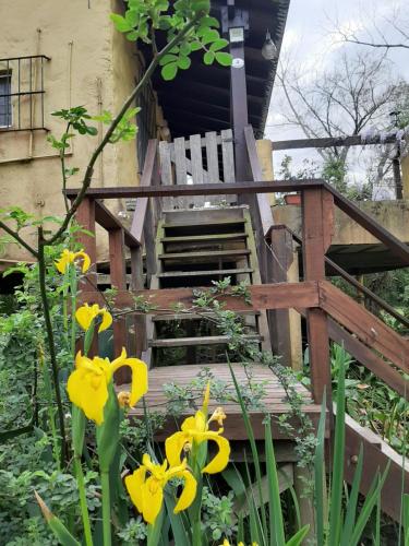 Delta Rose Farm – Photos 5