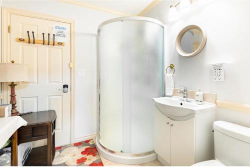 a bathroom with a shower and a sink at Go House in Richmond