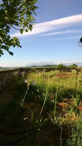 Gallery image of Agriturismo Castelli In Aria in Atri