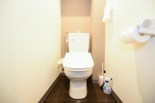 a bathroom with a white toilet in a stall at サンコート本郷通ガーデンヒルズ in Tsukisappu