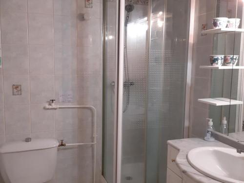 une salle de bain avec une douche avec des toilettes et un lavabo dans l'établissement Séjour cosy en studio à Serre Chevalier, 4 pers, balcon, au pied des pistes, navette gratuite - FR-1-762-28, à La Salle Les Alpes