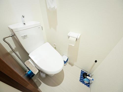 a bathroom with a white toilet in a stall at APHONGO HOTEL in Tsukisappu