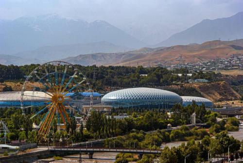 a amusement park with a ferris wheel and some buildings at Guest house by Sayohati Diyor in Dushanbe