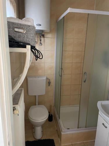 a small bathroom with a toilet and a shower at Kuća na selu “ANNA” in Feketić