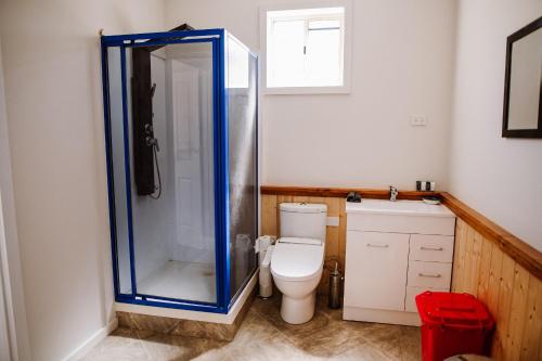 a bathroom with a toilet and a glass shower at True Blue Five - The Residence in Sheffield