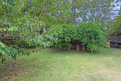a yard with trees and grass and a building at All Decked Out in Hawks Nest