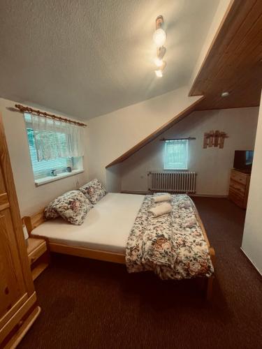 a bedroom with a large bed in a room at Penzion U Rodinky in Bělá pod Pradědem