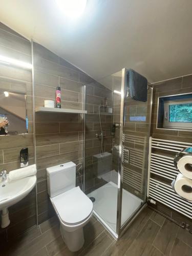 La salle de bains est pourvue de toilettes, d'une douche et d'un lavabo. dans l'établissement Penzion U Rodinky, à Bělá pod Pradědem