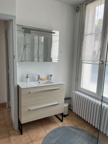 a bathroom with a sink and a mirror at Maison de ville in Valençay