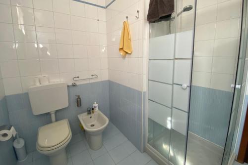 a bathroom with a toilet and a glass shower at Green Residence - Apartment with Private Garden in Desenzano del Garda