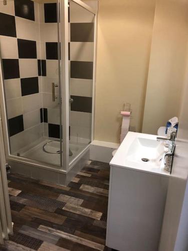 une salle de bain avec douche et lavabo dans l'établissement Escapade cosy au coeur de la cité médiévale, à Sarlat-la-Canéda