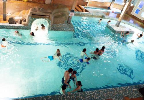 un gruppo di persone in una piscina con un orso polare in acqua di Hassela Ski Resort a Hassela
