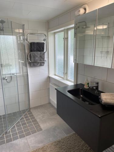 y baño con lavabo y ducha. en Lantlig villa i Ljungbyhed, en Ljungbyhed