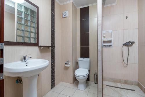 uma casa de banho com um WC, um lavatório e um chuveiro em Pensiunea Popasul Ursilor em Chişcău