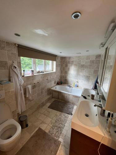 ein Badezimmer mit Badewanne, Toilette und Waschbecken in der Unterkunft Charmante maison familiale in Kraainem