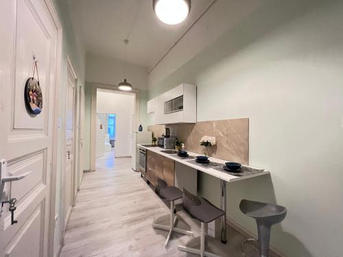 Kuchyň nebo kuchyňský kout v ubytování Baross Apartment with Convenience and Style