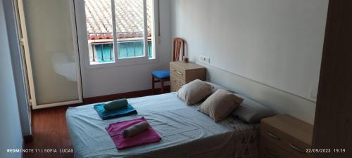Tempat tidur dalam kamar di Camino de la Sierra Mascotas SI