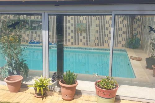 uma piscina com vasos de plantas num pátio em Studio Pollestres em Pollestres
