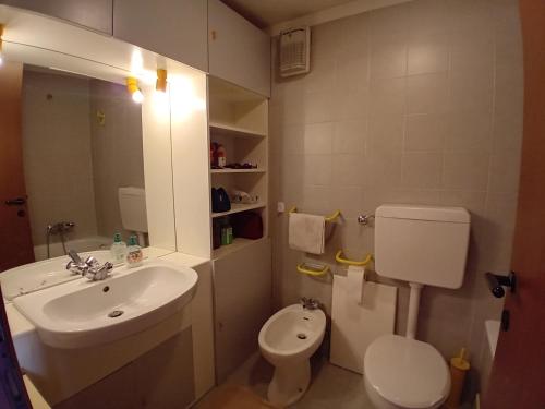 a bathroom with a sink and a toilet at La casa nel cuore di La Thuile in La Thuile