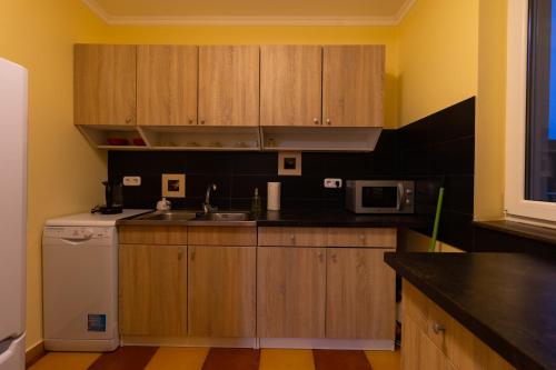 a kitchen with wooden cabinets and a sink and a dishwasher at Szelidi Apartmanok in Dunapataj