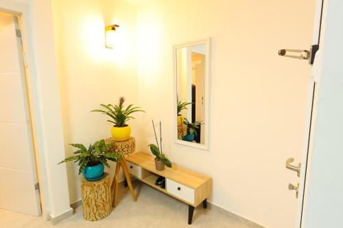 a room with a mirror and a table with plants at דירה יפה סגנון מודרני מרחק של 5 דקות נסיעה מהים in Ashqelon