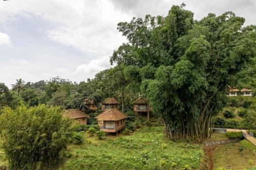 a group of huts in a field next to a tree at Sterling Vythiri Wayanad in Wayanad