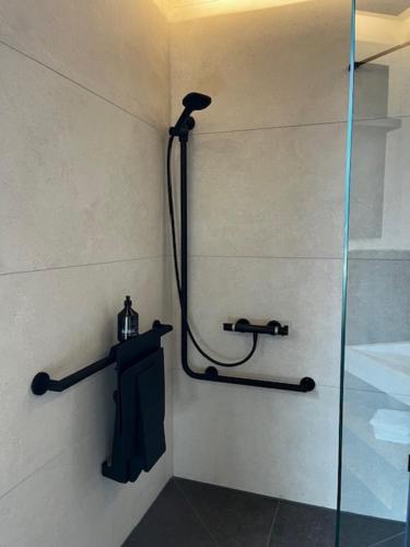 a shower in a bathroom with a glass door at Ferienbahnhof Reichenbach in Dahn