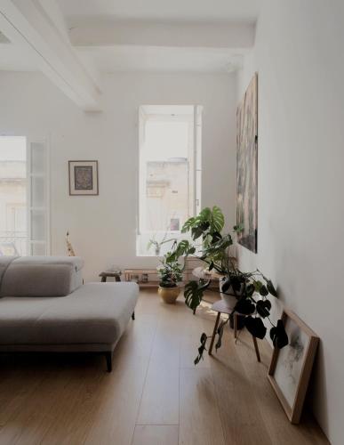 a living room with a couch and potted plants at Architect’s home pad - Valletta in Valletta