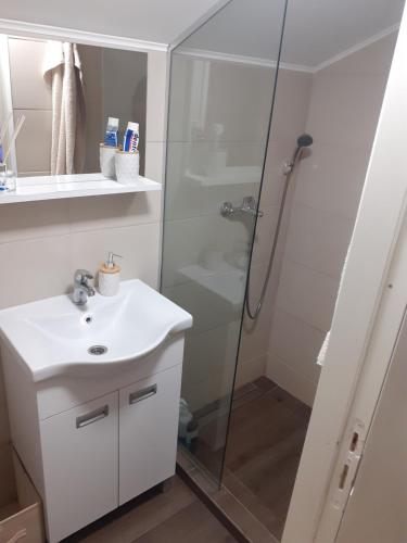a bathroom with a glass shower and a sink at Vikendica DUNAV in Novi Sad