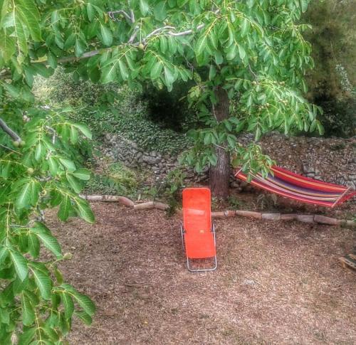a red chair sitting next to a tree at Hodak Apartment in Nerezine