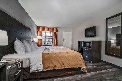 Habitación de hotel con cama grande y TV en Quality Inn, en Fayetteville