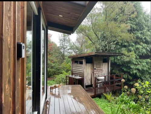 a dog standing on a deck next to a house at Fantail’s Nest in the forest in Takaka