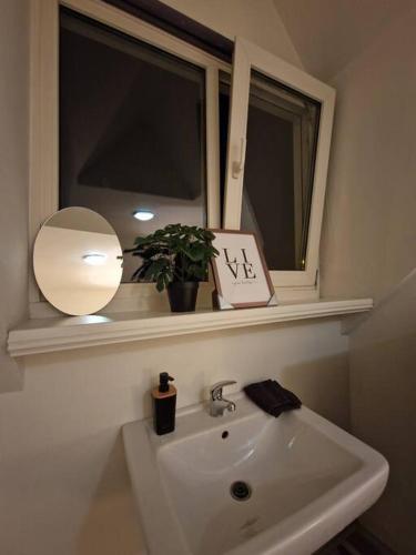 a bathroom with a sink and a window with a potted plant at Cozy Private Room 5 on a Busy Persian Restaurant in Eindhoven