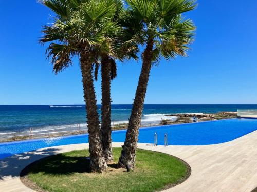 two palm trees next to a swimming pool next to the ocean at Apartment Posidonia Punta Prima in Orihuela